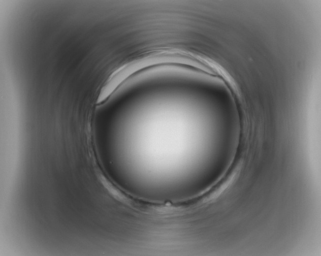 X0000115560897200911131624