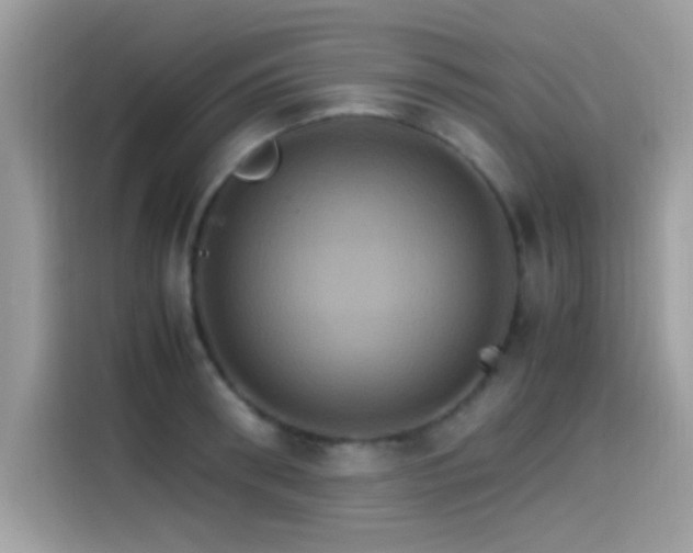 X0000115560898200911131624
