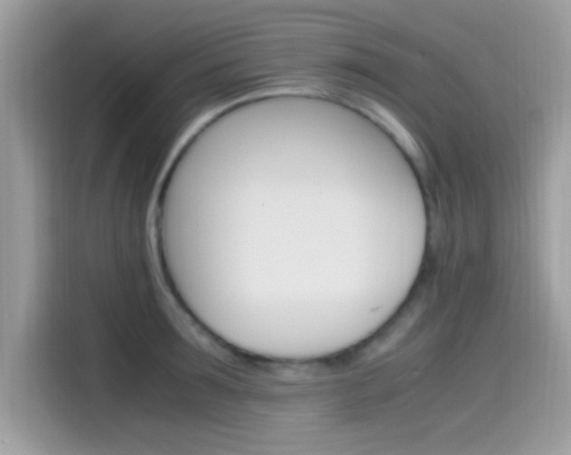 X0000115560899200911131624