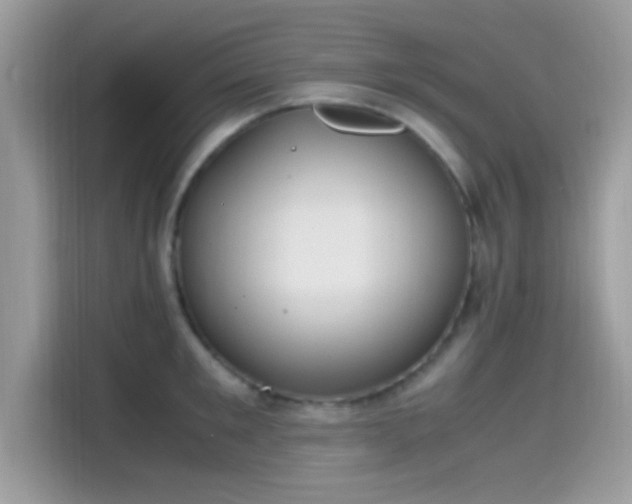 X0000115560901200911131624