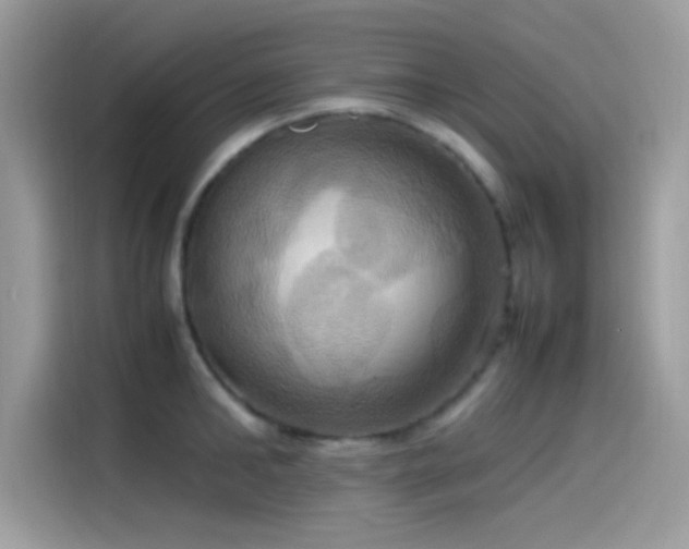 X0000115560902200911131624