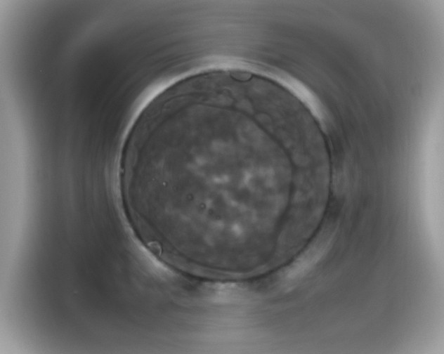 X0000115560903200911131624