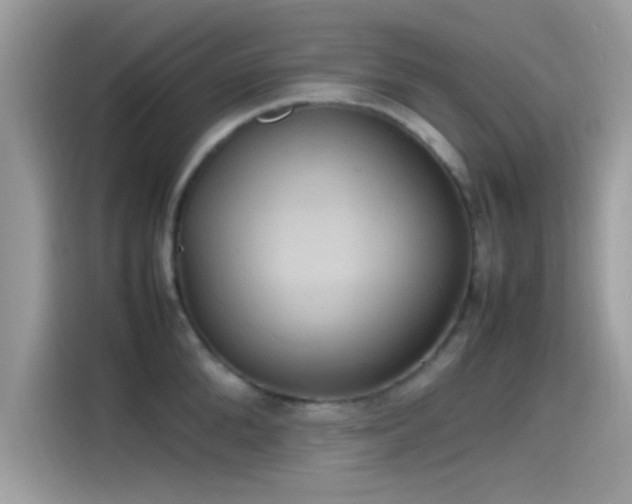 X0000115560904200911131624