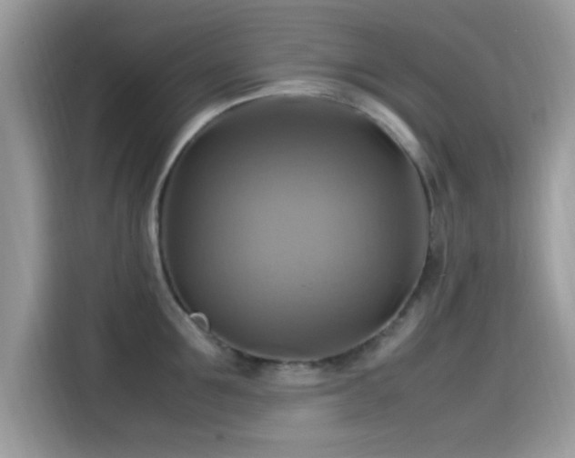 X0000115560907200911131624