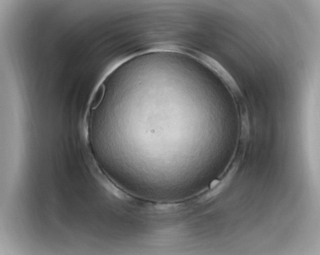 X0000115560908200911131624