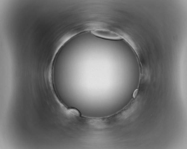 X0000115560909200911131624