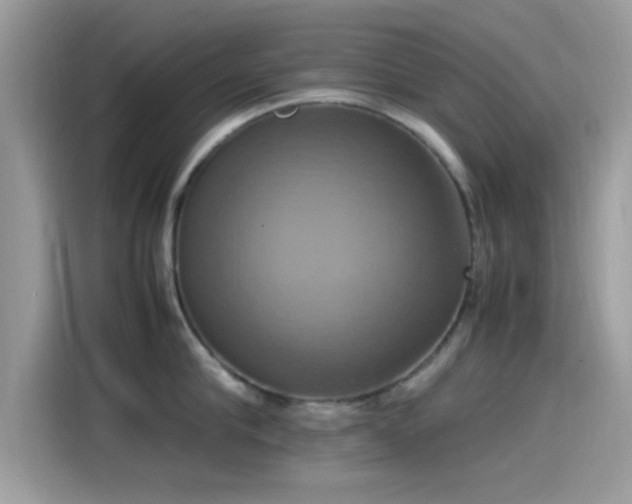 X0000115560910200911131624