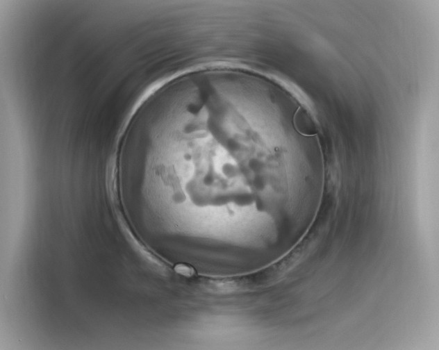 X0000115560911200911131624