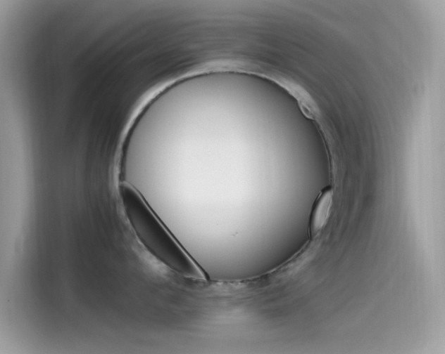 X0000115560912200911131624