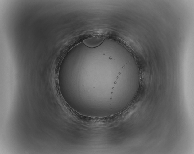X0000115560913200911131624