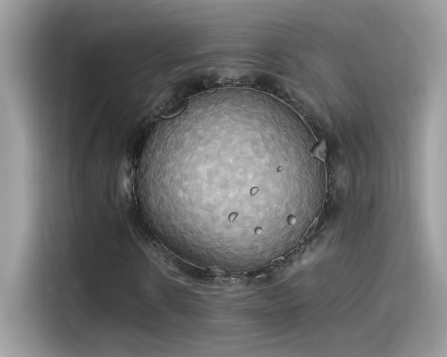 X0000115560914200911131624