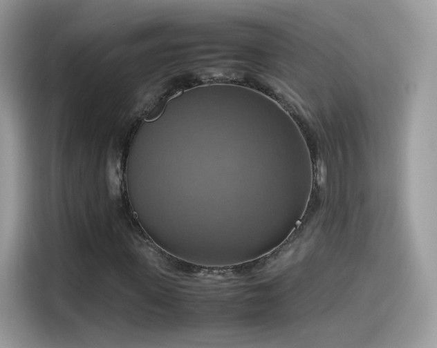 X0000115560915200911131624