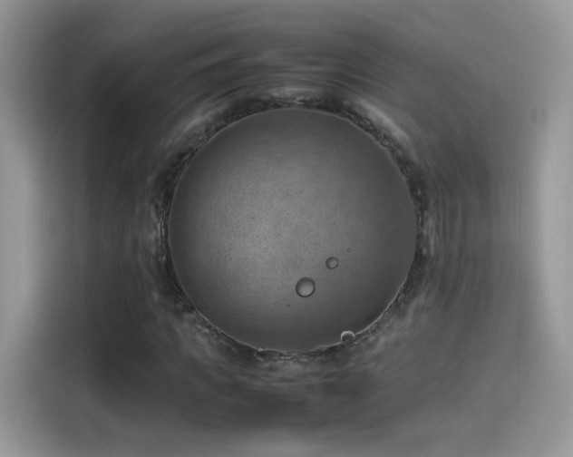 X0000115560917200911131624