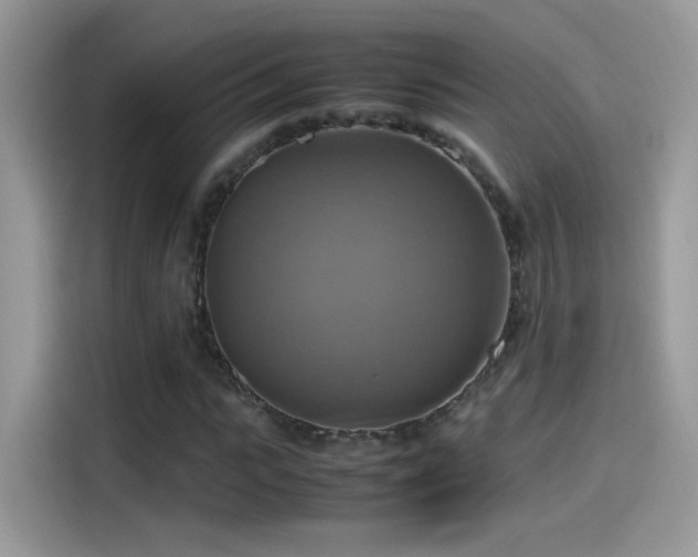 X0000115560919200911131624