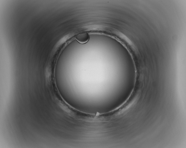 X0000115560922200911131624