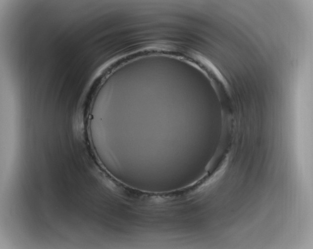 X0000115560923200911131624