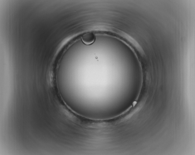 X0000115560926200911131624
