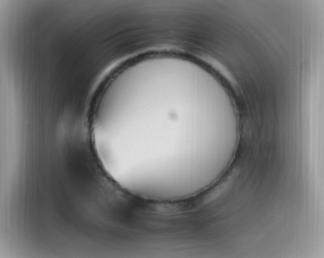 X0000115560927200911131624