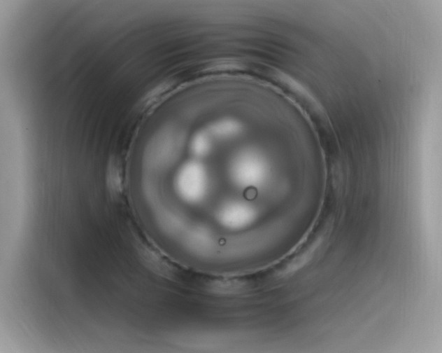 X0000115560929200911131624