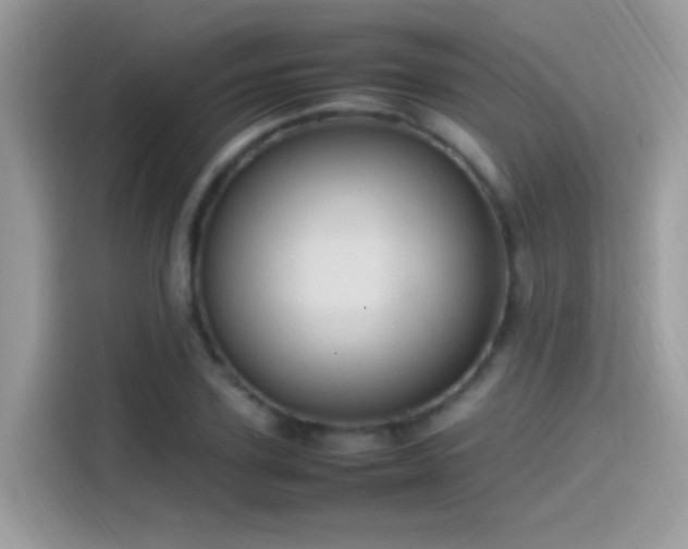 X0000115560931200911131624