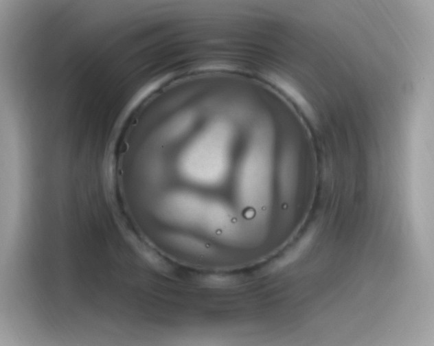 X0000115560933200911131624