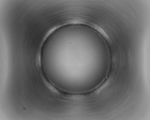 X0000115560934200911131624