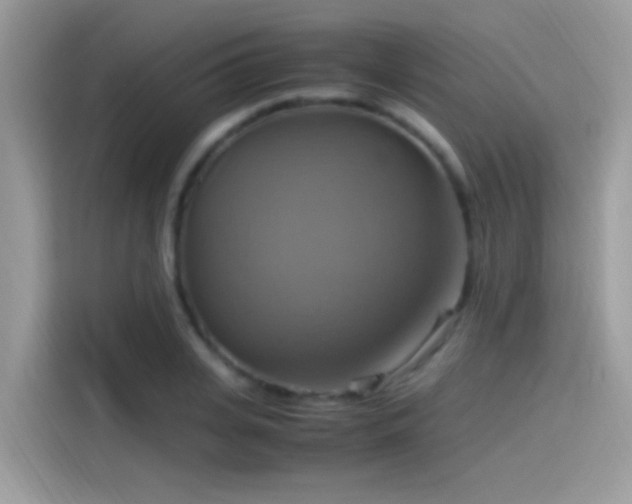 X0000115560935200911131624