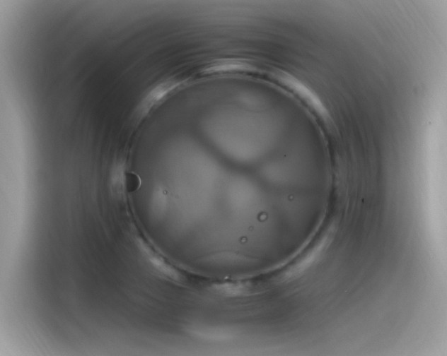 X0000115560937200911131624