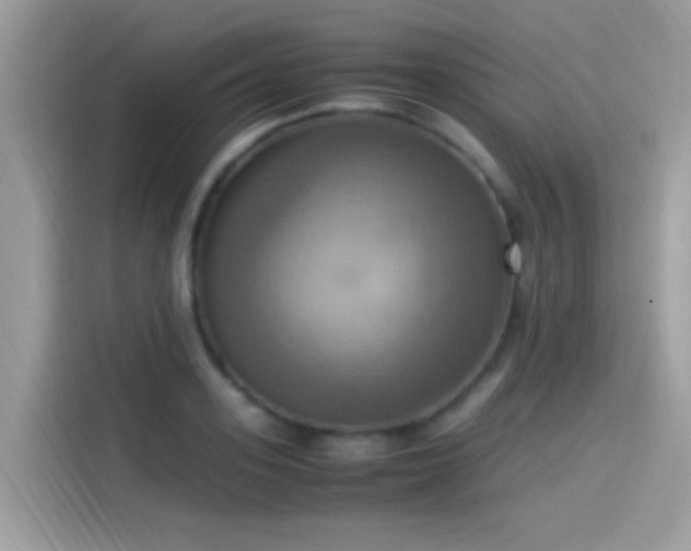 X0000115560939200911131624