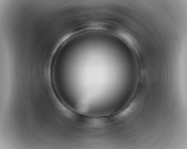 X0000115560947200911131624