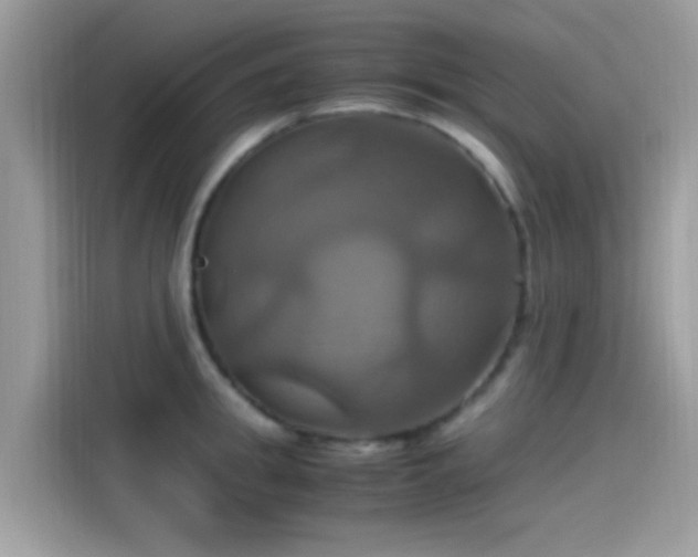 X0000115560949200911131624