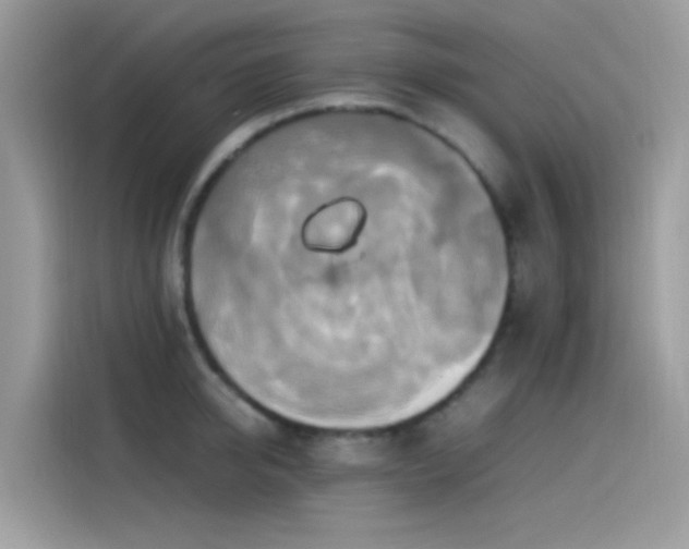 X0000115560950200911131624