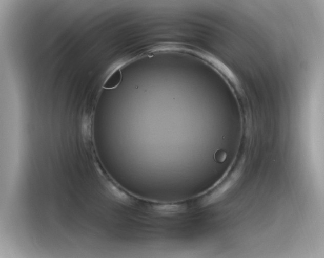 X0000115560953200911131624