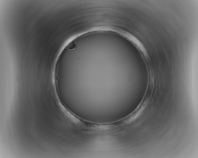 X0000115560958200911131624