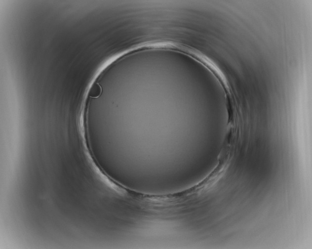 X0000115560959200911131624