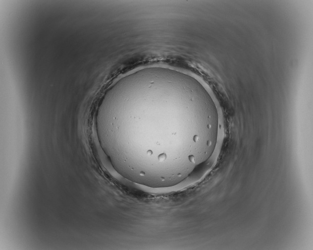 X0000115560961200911131624