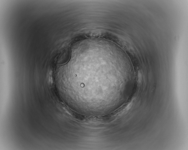 X0000115560962200911131624