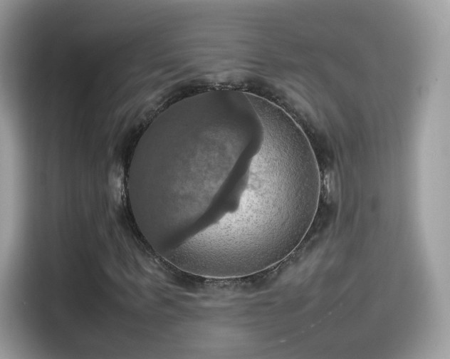 X0000115560963200911131624