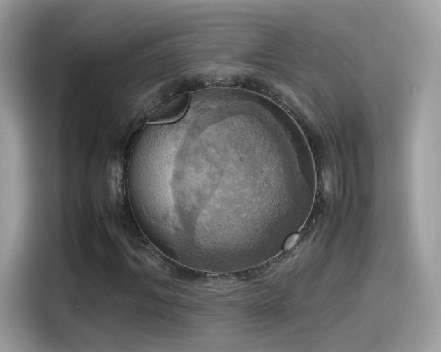 X0000115560964200911131624