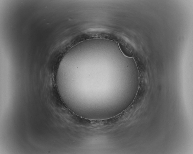 X0000115560965200911131624