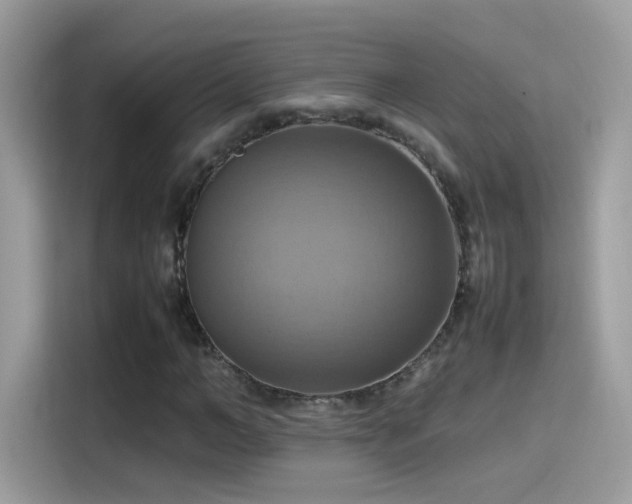 X0000115560966200911131624