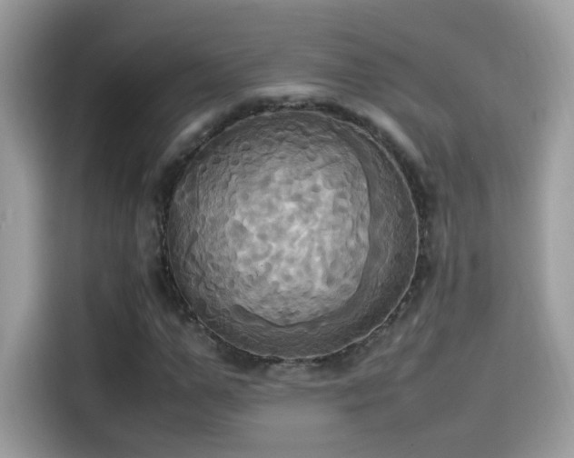 X0000115560967200911131624