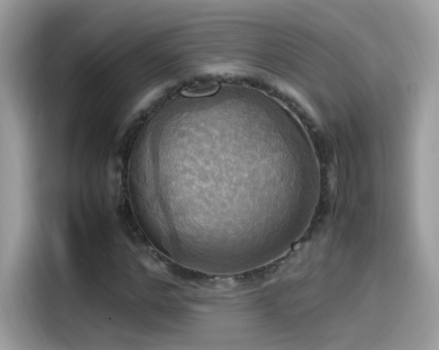 X0000115560968200911131624