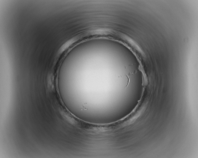 X0000115560970200911131623