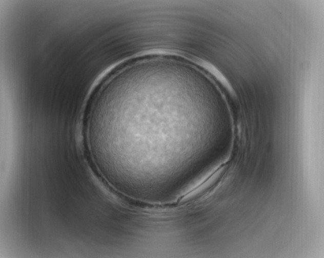 X0000115560972200911131623