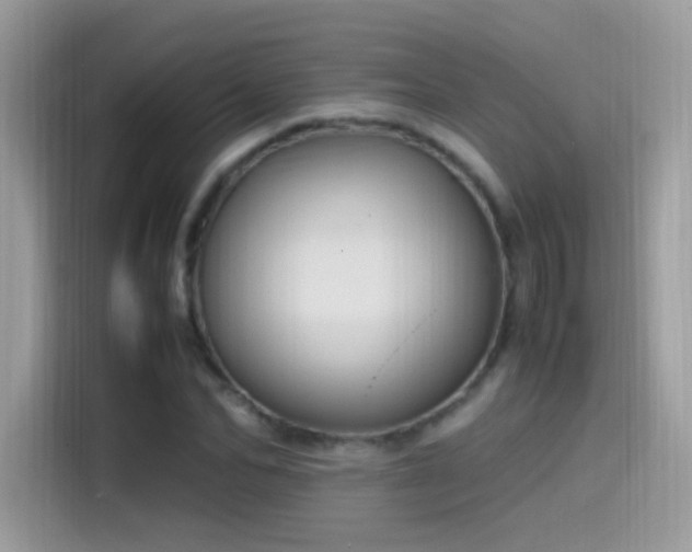X0000115560974200911131623