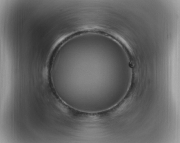 X0000115560975200911131623