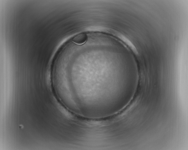 X0000115560976200911131623