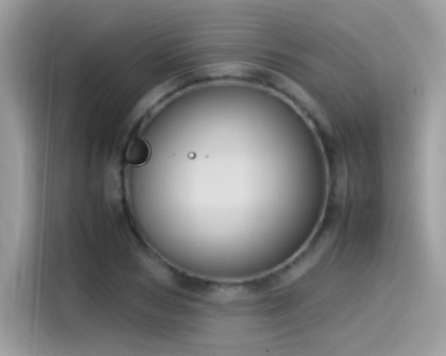 X0000115560978200911131623