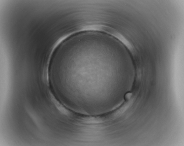 X0000115560980200911131623